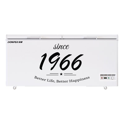 东贝一级能冰柜冷藏冷冻商用冰箱