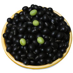 25年永祥龙新东北精选绿心小黑豆五谷杂粮青仁打豆浆专用发芽农家