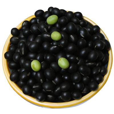 永祥龙精选绿芯小黑豆黑豆
