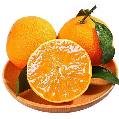 「宇辉推荐」四川爱媛38号果冻橙