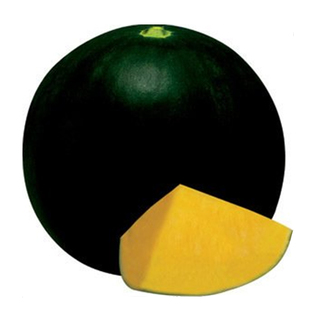 黑皮黄瓤无籽西瓜种子特大巨型红肉西瓜种籽春季夏季四季水果蔬菜