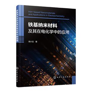 铁基纳米材料及其在电化学中的应用 梁小玉 铁基纳米材料制备方法特性表征及其电化学性能 催化材料可再生能源领域科研人员参考