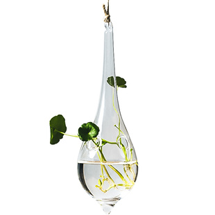 创意悬挂式透明水培玻璃花瓶插花盆绿萝壁挂小鱼缸简约现代小吊瓶