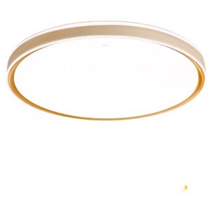 欧普照明儿童房卧室灯吸顶灯2025新款护眼灯具全光谱男女孩儿童灯