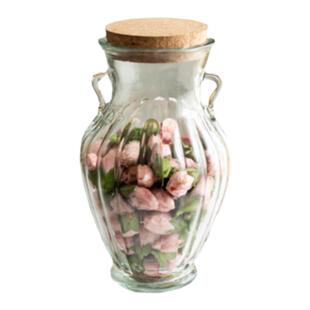 美式浮雕木塞储物玻璃密封罐腌制果酒厨房杂粮分装罐咖啡豆花茶瓶