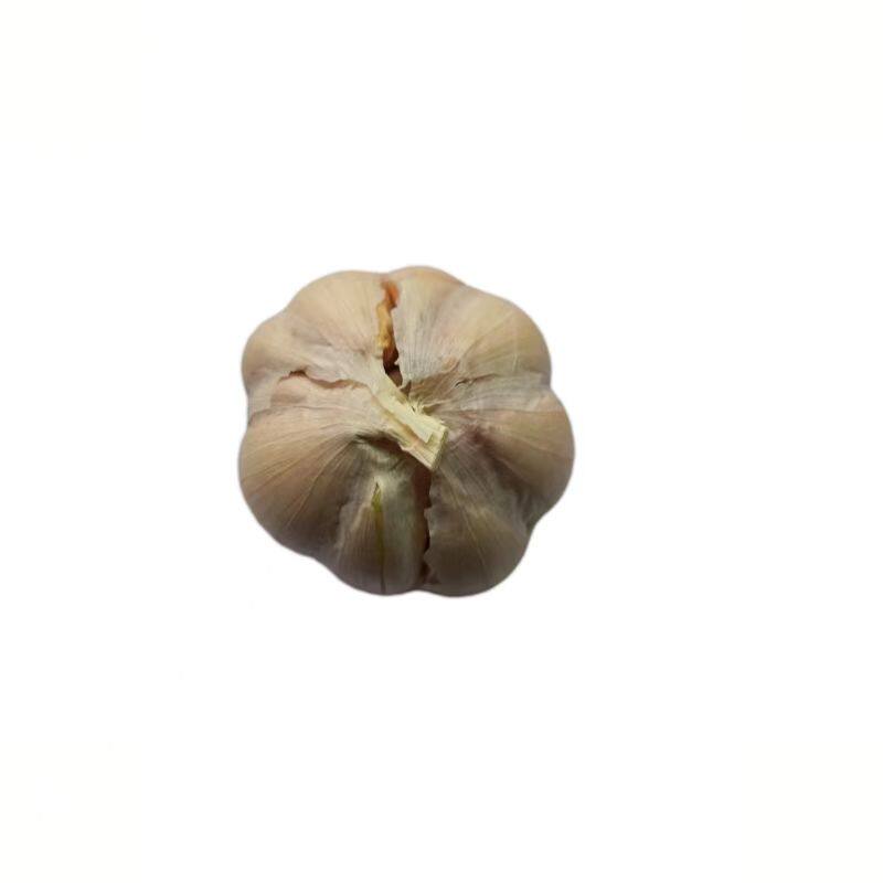 【农家新干蒜】干蒜头蒜种子个小香浓腊八蒜泡醋蒜腌制糖蒜菜园种