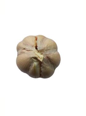 【农家新干蒜】干蒜头蒜种子个小香浓腊八蒜泡醋蒜腌制糖蒜菜园种