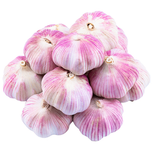 金乡紫皮大蒜大蒜头干蒜特大果批发紫白皮新鲜当季自提种植年货节