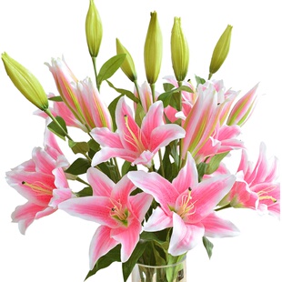仿真花百合高枝装饰花假花绢花客厅摆设餐桌轻奢高端花艺花束摆件