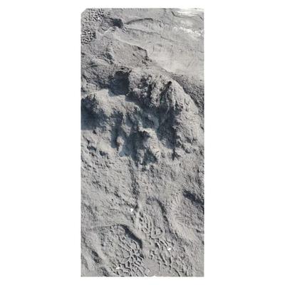 正宗草木灰肥料农家种菜用的纯杀虫稻壳碳炭通用营养土种蔬菜专用