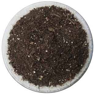 青柠海南小金桔柠檬树营养椰砖土盆栽绿植专用有机种植土疏松透气