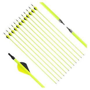 弓箭箭支户外箭头射箭金属练习箭复合反曲弓传统玻纤箭混碳真羽箭