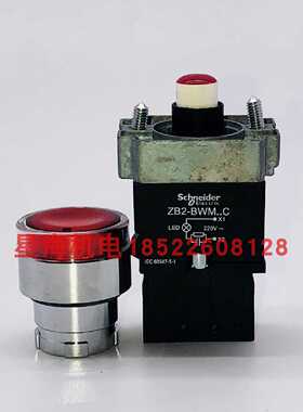 议价施耐德红色带灯按钮220V ZB2BW34CZB2BWM41C