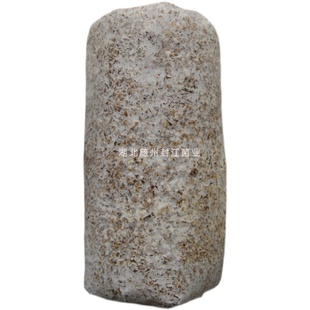 黑木耳菌种种在木头上的黑木耳种子黑木耳种菌种椴木黑木耳菌种家