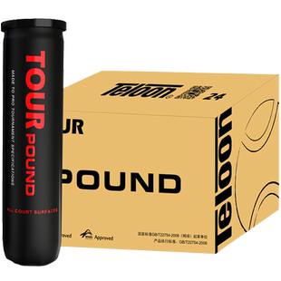 TELOON天龙网球专业比赛用球POUND/P4P3训练高弹耐磨整箱【24听】