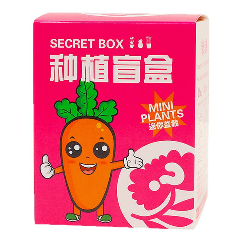 diy盲盒儿童盆栽小学生开学礼物