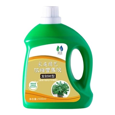 黄叶枯叶烂根专用药发财树营养液