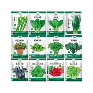 四季优质蔬菜种子套餐孑种籽各种菜籽苗生菜菠菜香葱芹菜9月份九