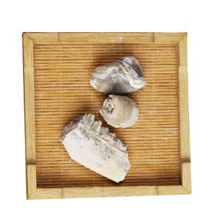 中药材龙齿中药饮片中药材抓配实体店铺药房【饮片标准】250g