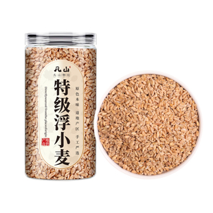 浮小麦中药材旗舰店官方正宗特级止汗茶药用包孚瘪500g甘麦大枣汤