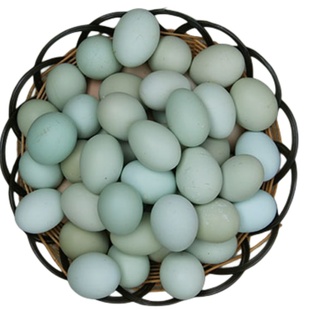 正宗散养绿壳乌鸡蛋土鸡蛋新鲜农村野外月子孕妇本绿色虫草笨50枚