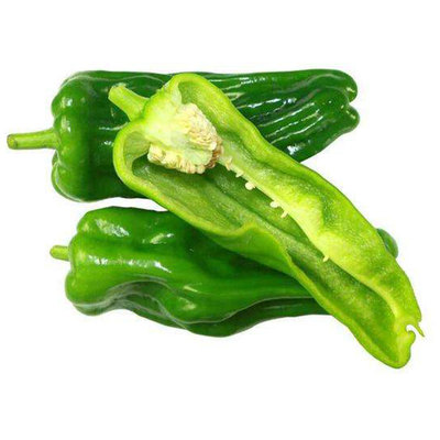 蔬菜薄皮泡椒种子辣椒种籽苗秧虎皮菜苗适合春天种的南方春季菜种