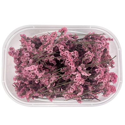 diy材料水晶草真花永生花