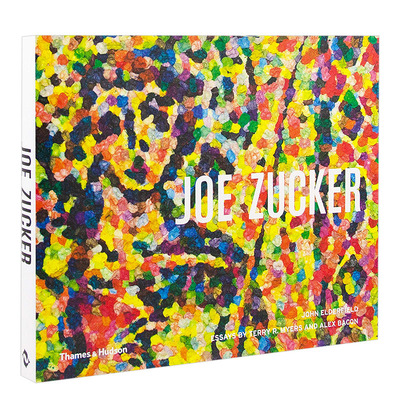 【现货】Joe Zucker 乔·扎克 英文原版 现当代艺术 艺术家专著 工艺艺术