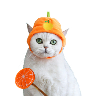 宠物猫咪小狗帽子套装木天蓼草莓菠萝橘子毛绒头套搞怪拍照头套