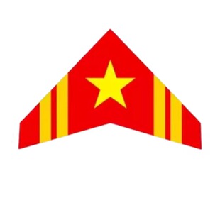 神州小轻体风筝三角战机超微风易飞轻薄伞布碳杆成人儿童专用