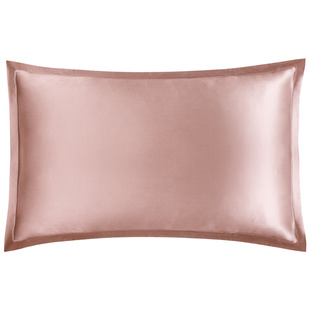 22姆米重磅双面纯真丝枕套桑罗桑蚕丝单人枕头套丝绸枕套一对装