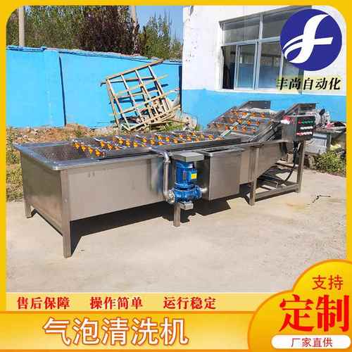 丰尚果蔬气泡清洗机 叶类蔬菜清洗机器 根茎类蔬菜气泡清洗机设备