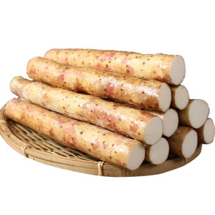 蠡县麻山药白山药铁棍新鲜蔬菜铁杆淮山药非河南焦作垆土20cm+