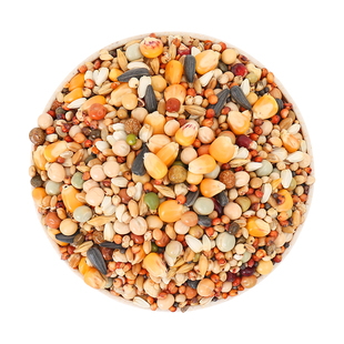 鸽子食粮广场鸽子公园鸽子专用鸽子饲料白鸽食广场鸽食物2斤 鸽粮