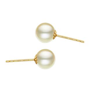 黛米珠宝 虞美人 正圆浅金色海水akoya珍珠耳钉18K金耳饰女款素钉