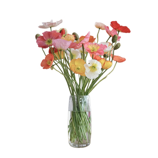 冰岛虞美人种子赛牡丹仙女蒿丽春花花籽庭院阳台室内外盆栽春秋播