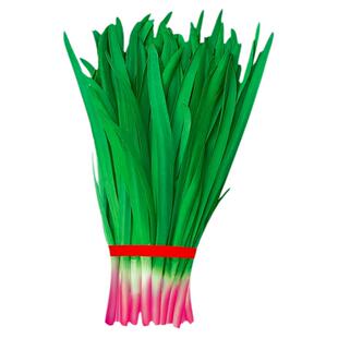 韭菜种子宽叶紫根独根红本地小叶香韭菜籽种红根白根雪韭蔬菜种孑