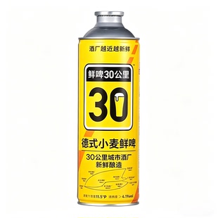 鲜啤30公里鲜啤德式小麦青柚青提艾尔啤酒鲜啤果酒整箱精酿原浆1L