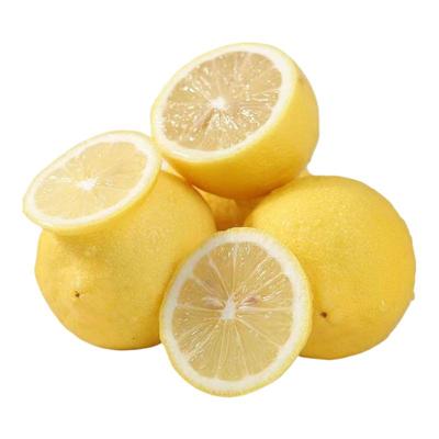四川安岳非无籽柠檬新鲜皮薄一级当季水果香水黄柠檬奶茶店专用