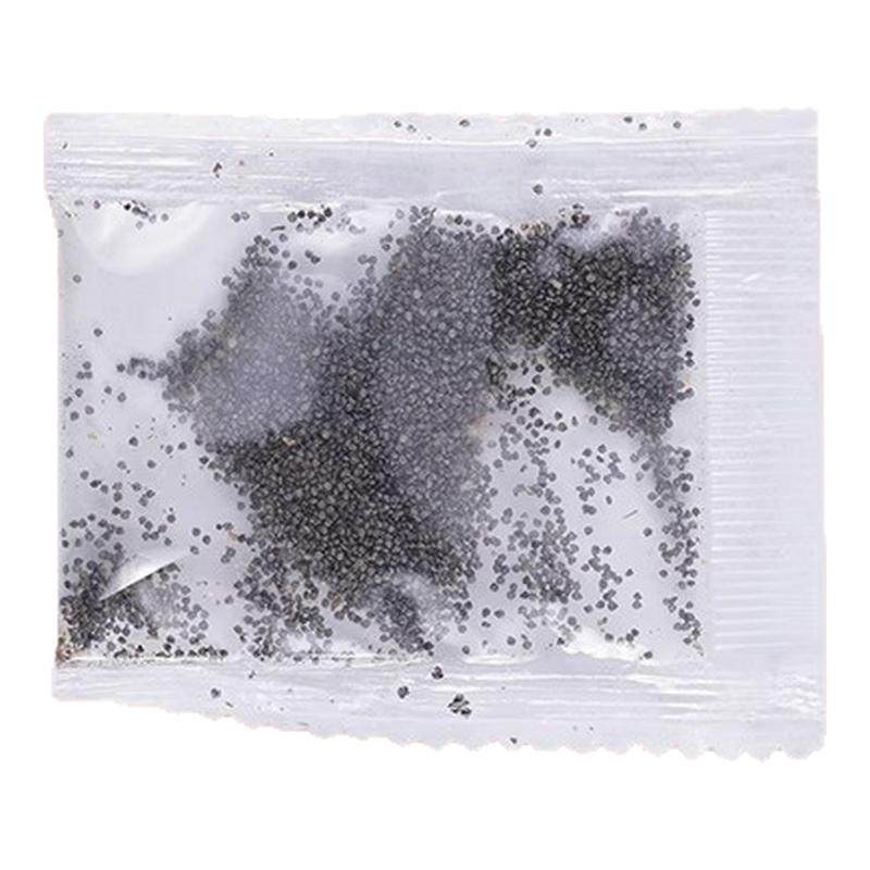 重瓣太阳花种孑花种籽子室内室外观花卉植物花籽四季播种开花易活