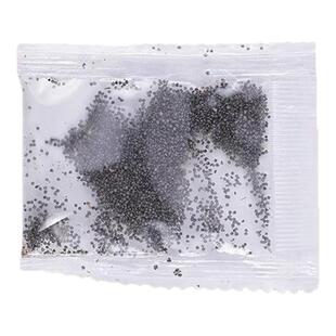 重瓣太阳花种孑花种籽子室内室外观花卉植物花籽四季播种开花易活