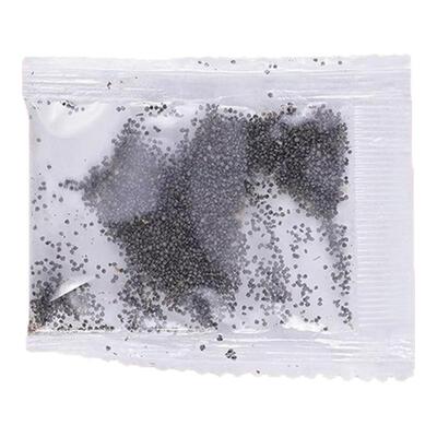 重瓣太阳花种孑室内庭院开花易活