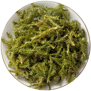 野生新货 伸筋草中药材旗舰店正品 非小伸筋草透骨草远志益智仁