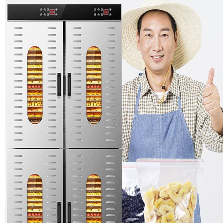 食品烘干机家用小型食物水果蔬菜肉类风干机脱水机110V/220V烘箱