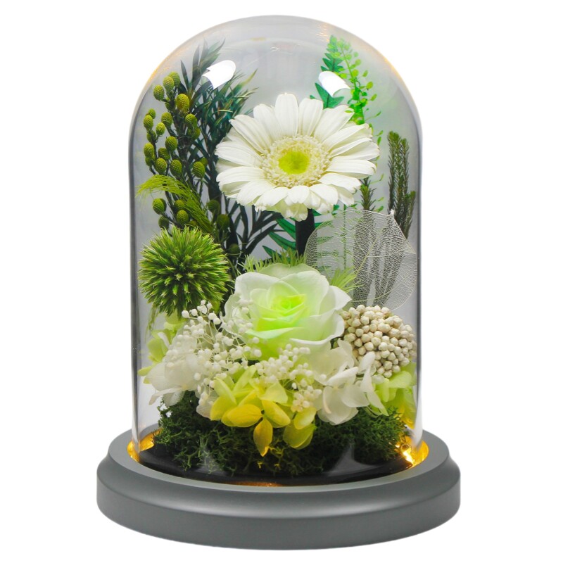 太阳花真花干花摆件教师节老师礼物高级感永生花礼盒暖光治愈饰品