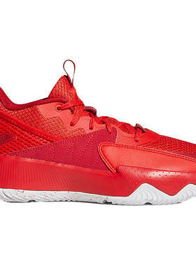 男子篮球鞋Adidas/阿迪达斯