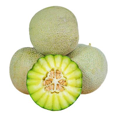 御品一园脆甜可口网纹蜜瓜