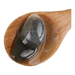 舟山海鲜特大无沙黄泥螺醉泥螺王即食罐装香辣新鲜活宁波特产醉螺