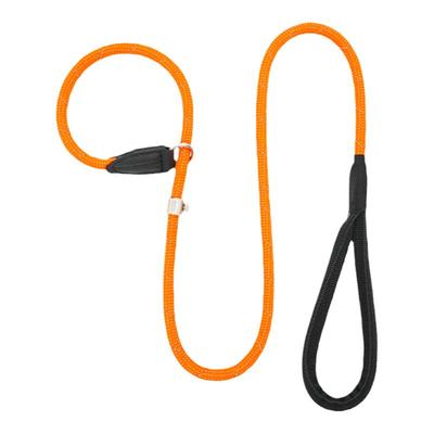 BeauGo狗狗牵引绳p绳p链狗绳大型犬牵引绳小型犬宠物专用狗牵引绳