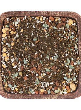 多肉专用营养颗粒土泥炭花土种植室内盆栽通用土壤颗粒铺面石叶插